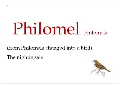 Philomel means the nightingale